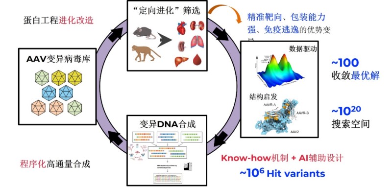 圖片4.jpg 圖片4.jpg